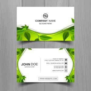 100 CARTES DE VISITE ECO EN RECTO-VERSO